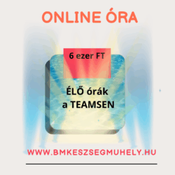 Online óra